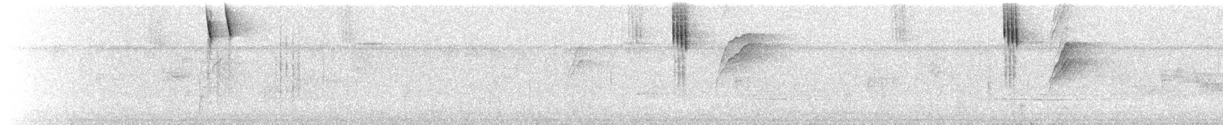 Kara Kulaklı Daknis (egregia/aequatorialis) - ML66358261
