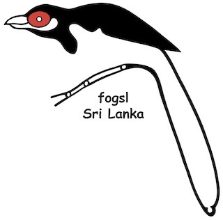 Field Ornithology Group Sri Lanka