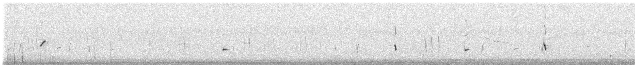 Plectrophane à ventre gris - ML66362401