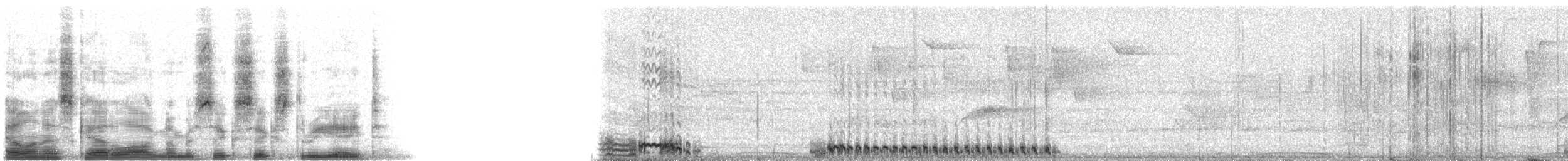 Trinidad Motmot - ML6638