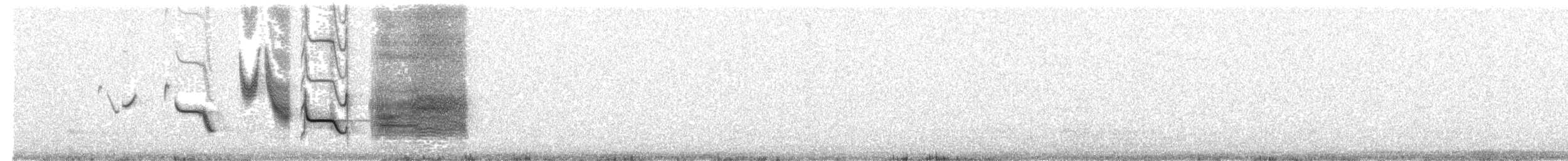Long-tailed Meadowlark - ML66421191