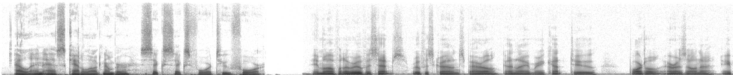 Rostscheitelammer - ML66424