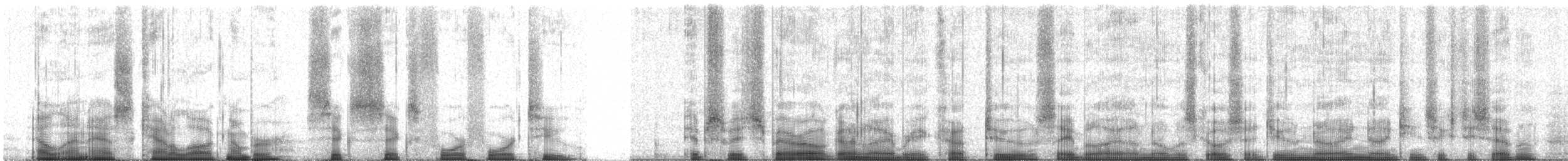 Grasammer (princeps) - ML66442