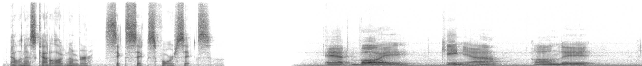マダガスカルハチクイ - ML6646