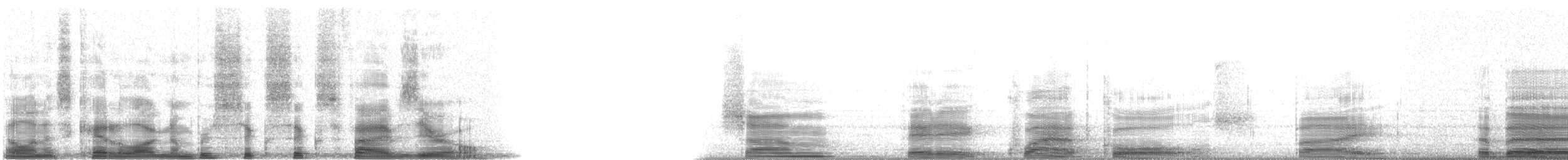 Purple Roller - ML6650