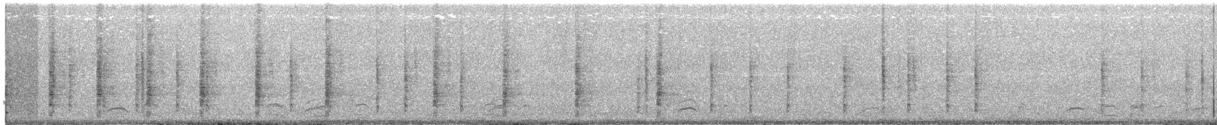 King Rail - ML66501631