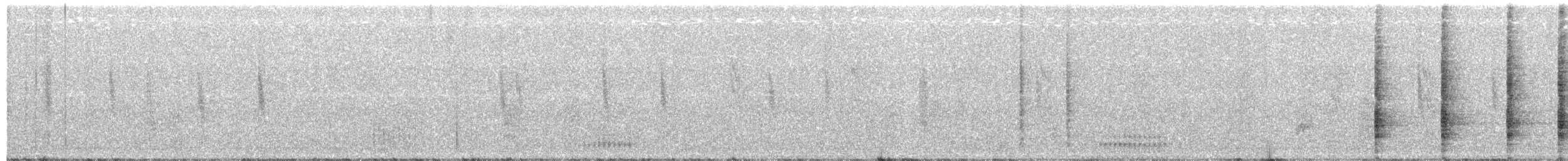 King Rail - ML66501701