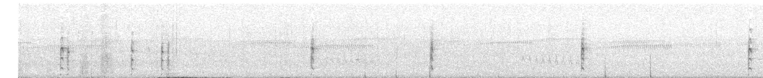 Spotless Crake - ML66502501