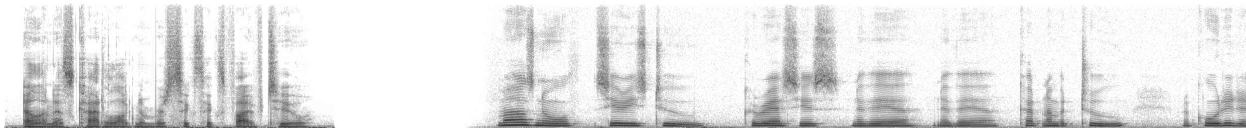 Purple Roller - ML6652