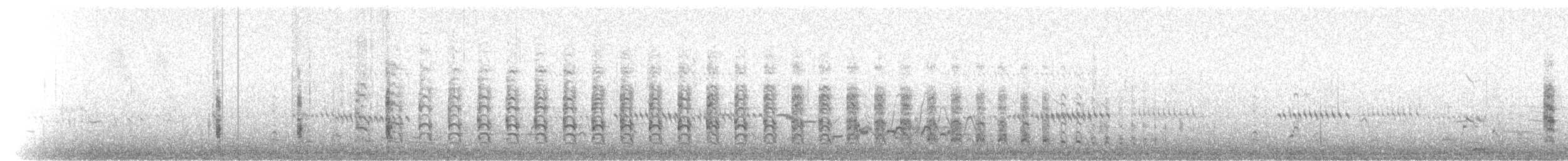 spartinarikse - ML66529841