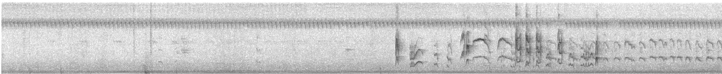 Schmalschnabel-Königstyrann - ML66542021