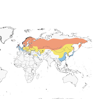 Distribution of the Common Gull - Range Map