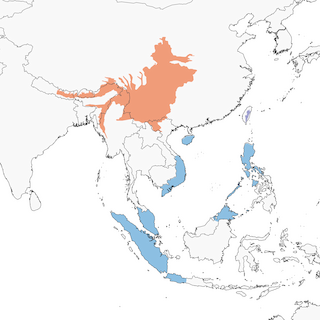 Distribution of the Ferruginous Flycatcher - Range Map