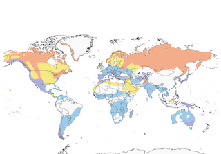 Distribution of the Peregrine Falcon - Range Map