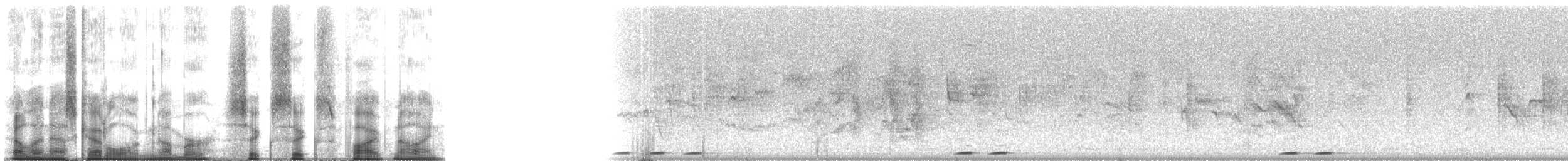 Одуд євразійський (підвид senegalensis/waibeli) - ML6659