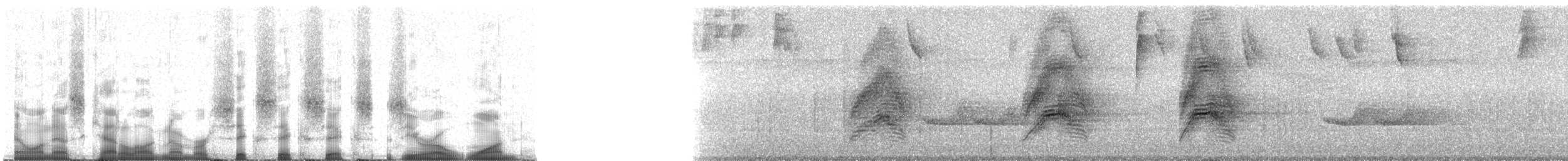 Пестрокрылый мухоед (examinatus) - ML66601