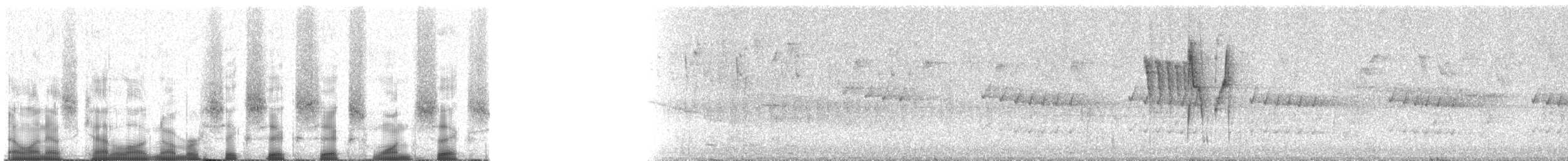 Taurillon agile - ML66616
