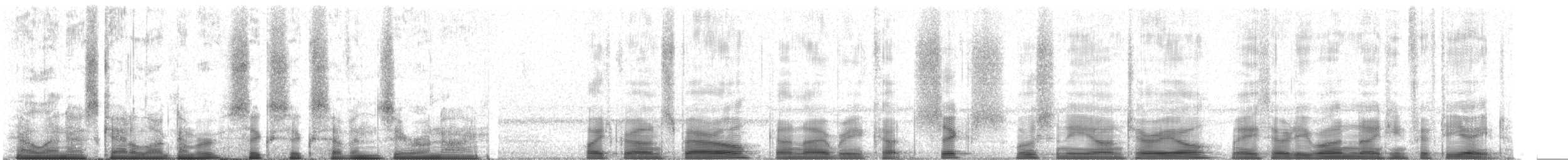 hvitkronespurv (leucophrys) - ML66709