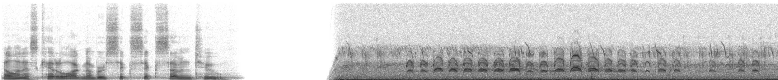 キバシカマハシ - ML6672