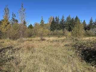 Ocean Grove Meadows, Comox-Strathcona, British Columbia, Canada - eBird ...
