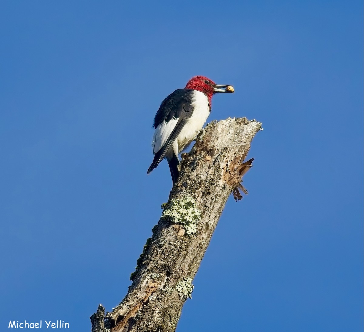 eBird Checklist - 24 Oct 2026 - Troy Meadows Natural Area - 21 species