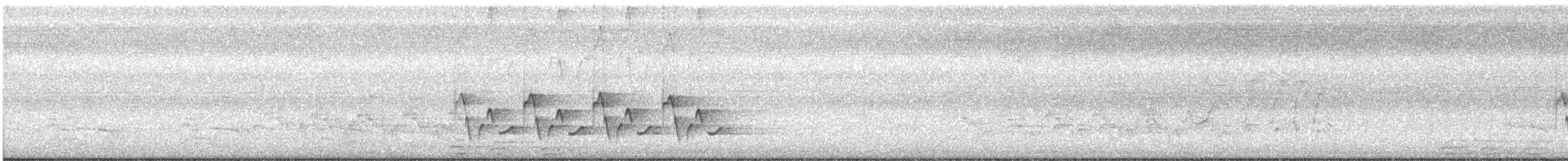 Carolina Wren - ML66765471