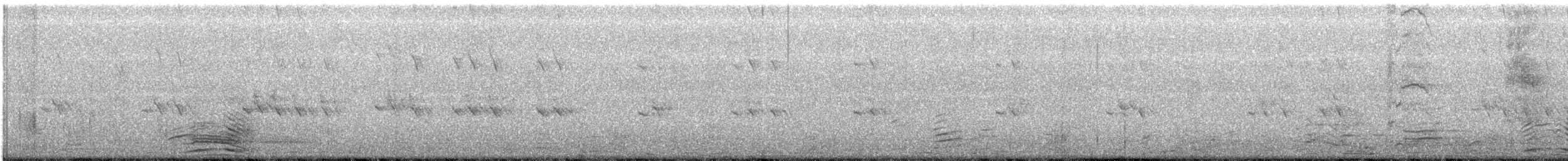Sterne royale - ML66786281