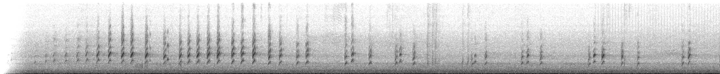 Carolina Wren - ML66794671