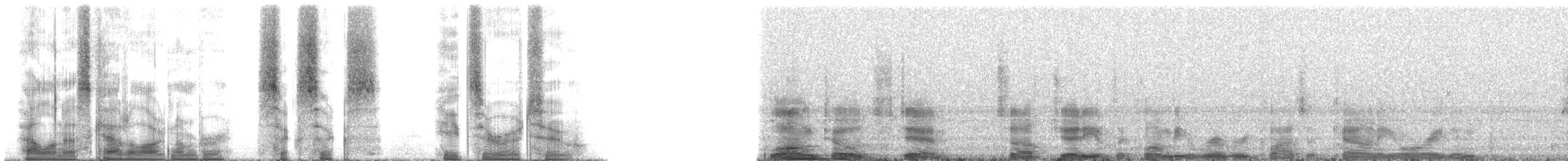 Long-toed Stint - ML66802