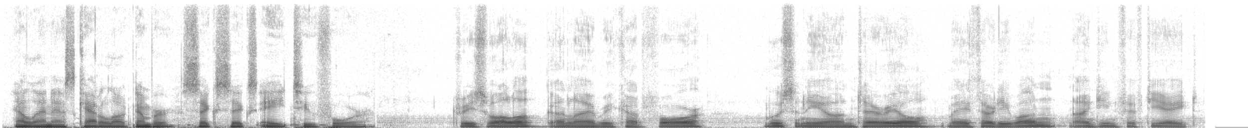 Hirondelle bicolore - ML66824