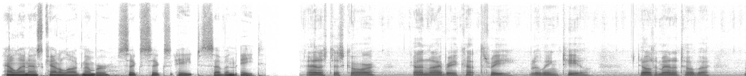 Blauflügelente - ML66878