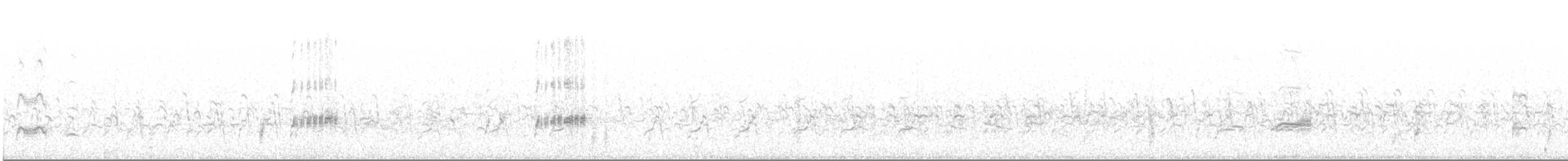 Clark's Grebe - ML66937761