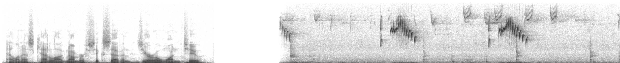 Mountain Wren - ML67012