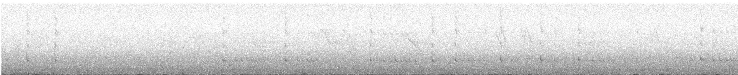 Crested Bobwhite - ML67013061