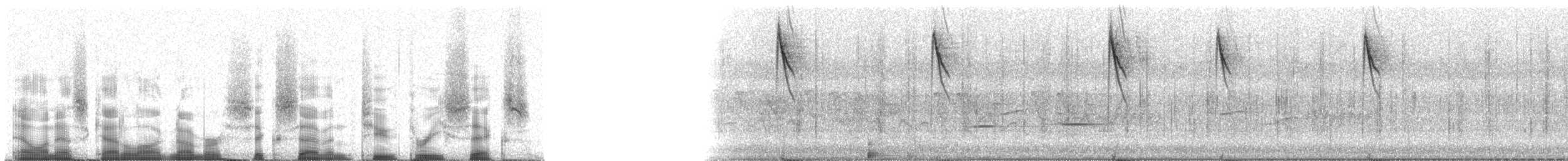 Isabelltangare (cayana/fulvescens) - ML67236