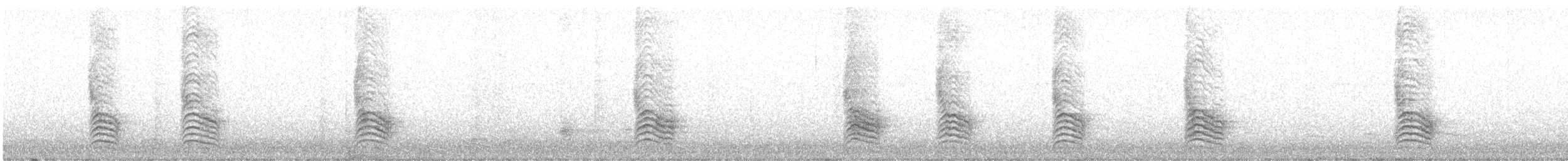 Oriole cul-noir - ML67277831