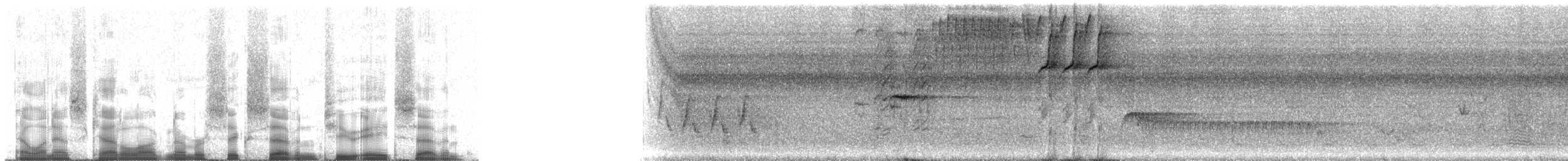 Slate-colored Seedeater - ML67287