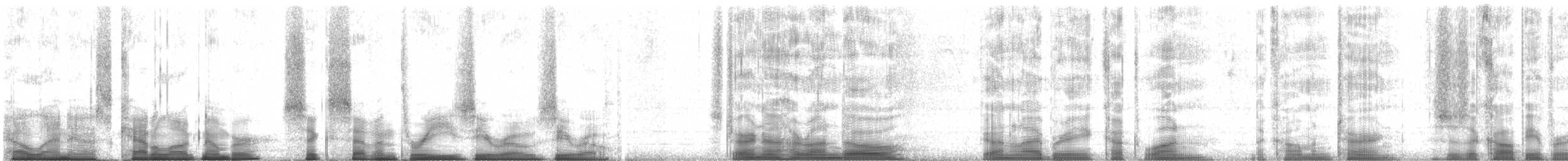 Sterna comune (hirundo/tibetana) - ML67300