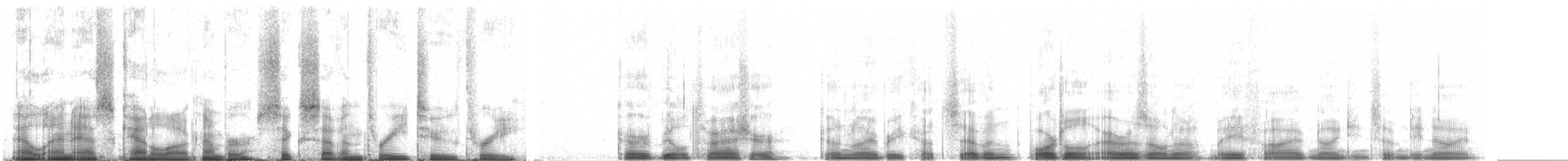 Krummschnabel-Spottdrossel - ML67323