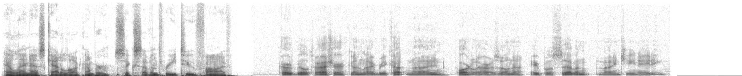 Krummschnabel-Spottdrossel - ML67325