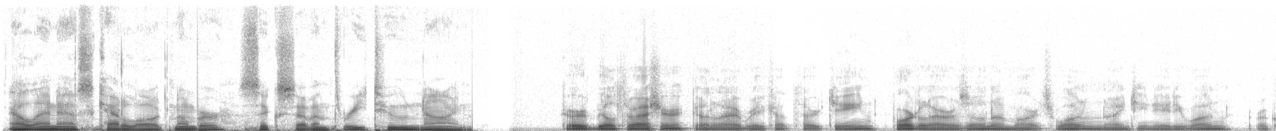 Krummschnabel-Spottdrossel - ML67329