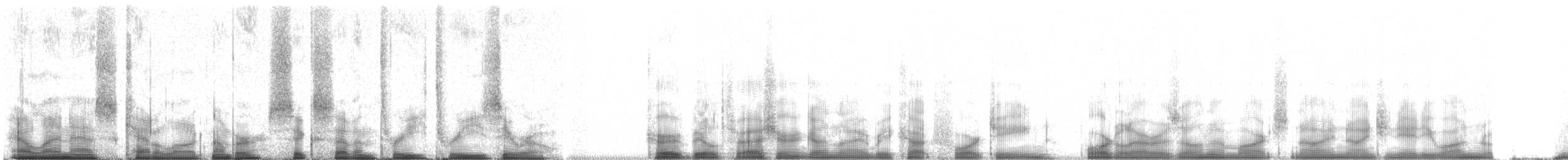 Krummschnabel-Spottdrossel - ML67330