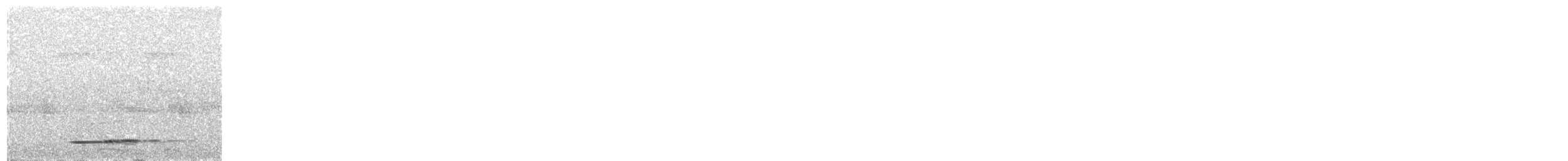 Thicket Tinamou - ML67331601