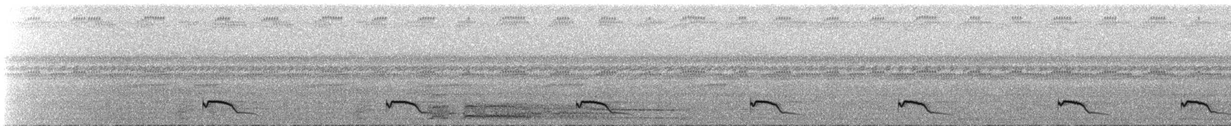 Ecuadornachtschwalbe - ML67364721