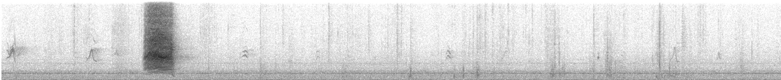 sojka ostrovní - ML67388951