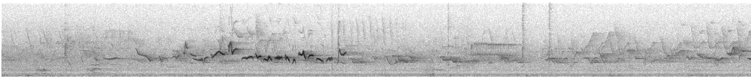 Віреон світлобровий (підвид gilvus) - ML67411321