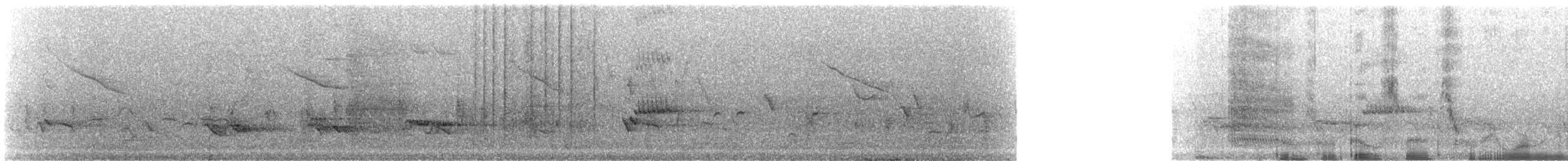 Віреон світлобровий (підвид gilvus) - ML67411601