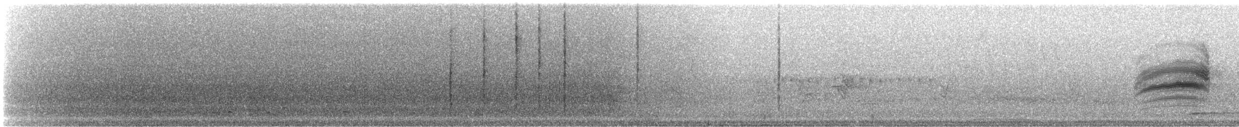 Віреон світлобровий (підвид gilvus) - ML67411661