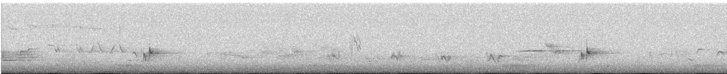 Дрізд-короткодзьоб плямистоволий - ML67470031