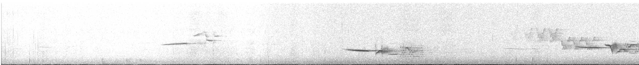 Дрізд-короткодзьоб плямистоволий - ML67471211